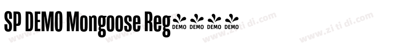SP DEMO Mongoose Reg字体转换